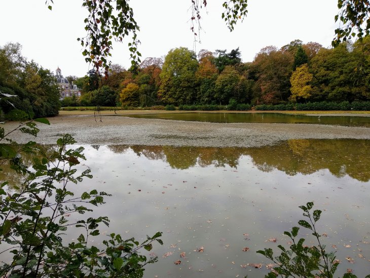 Waterstand park De Mik.