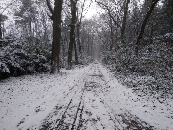 Sneeuw in Maria-ter-Heide