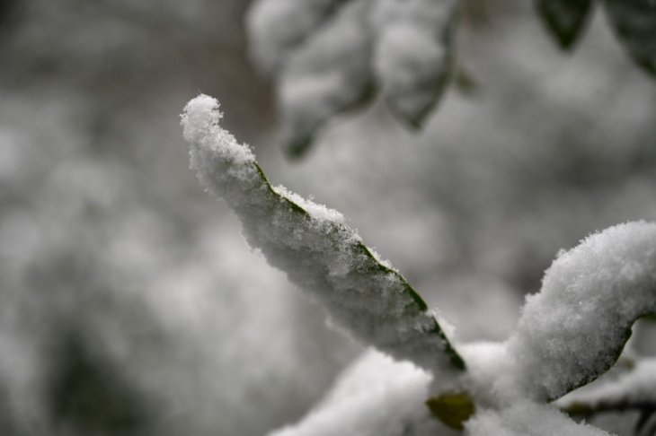 Sneeuw in Maria-ter-Heide