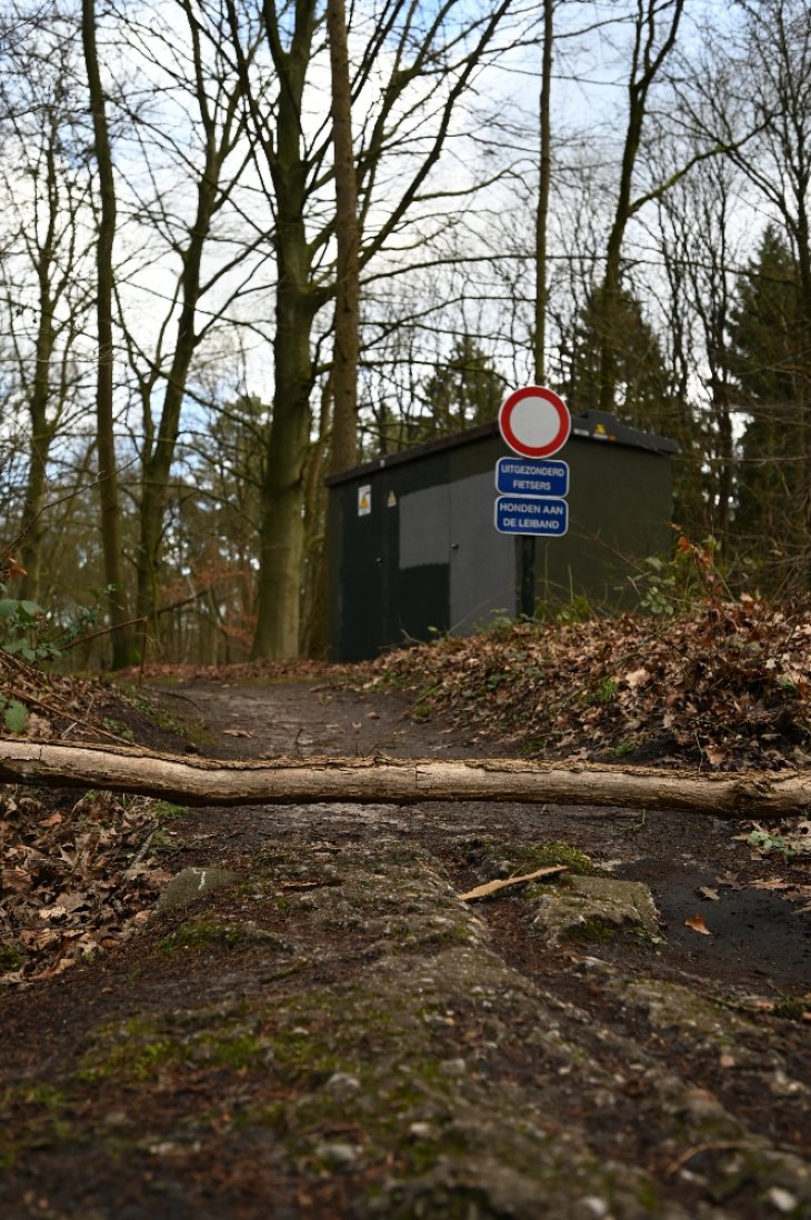 Omgevallen boom in park De Mik.