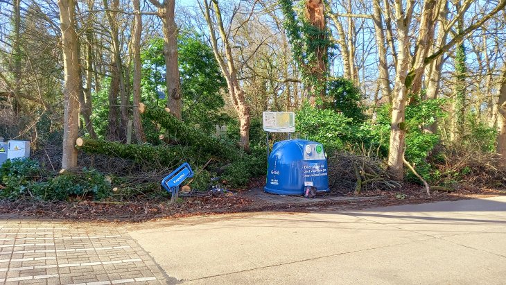 Dennenboom sneuvelt door storm Eunice in de Bevrijdingslei.