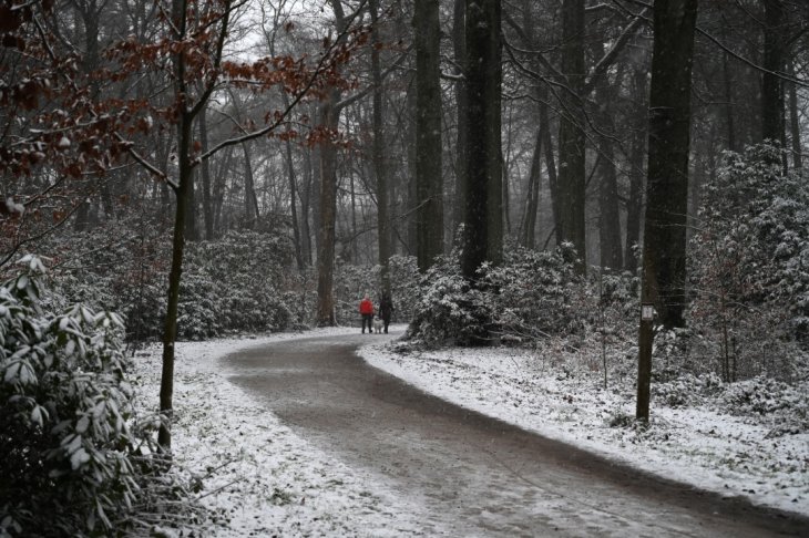 Sneeuw in Maria-ter-Heide