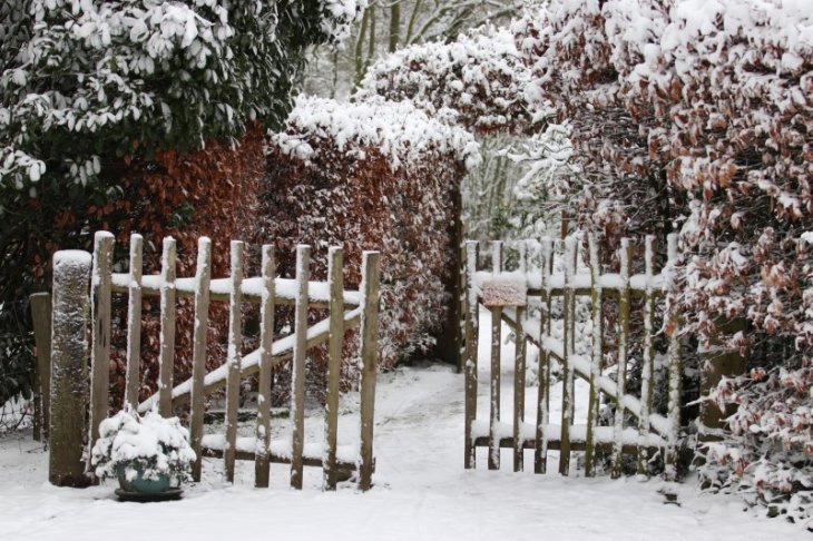 Sneeuw in Maria-ter-Heide (Kinderboerderij Mikerf)