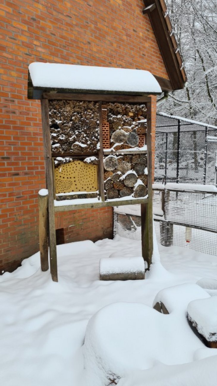 Sneeuw in Maria-ter-Heide (Kinderboerderij Mikerf).