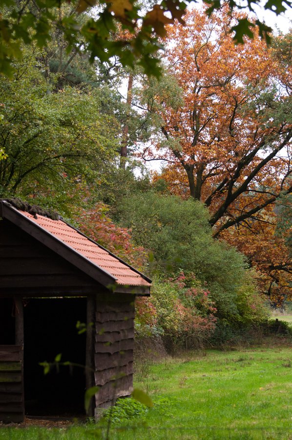 Herfst in Maria-ter-Heide 2019 (15)