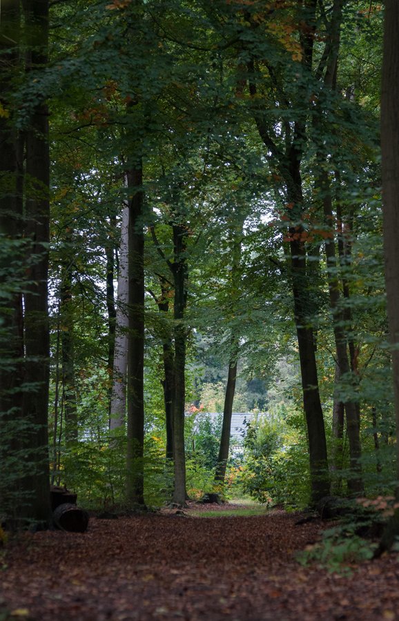 Herfst in Maria-ter-Heide 2019 (13)