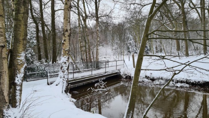 Sneeuw in Maria-ter-Heide (park De Mik).