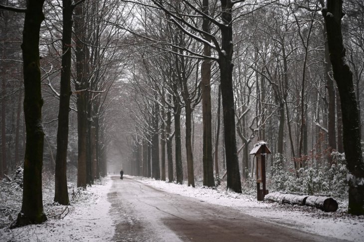 Sneeuw in Maria-ter-Heide