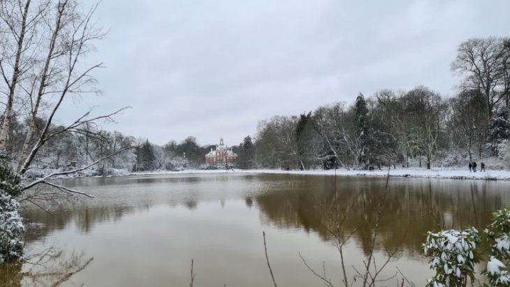 Sneeuw in Maria-ter-Heide (park De Mik).