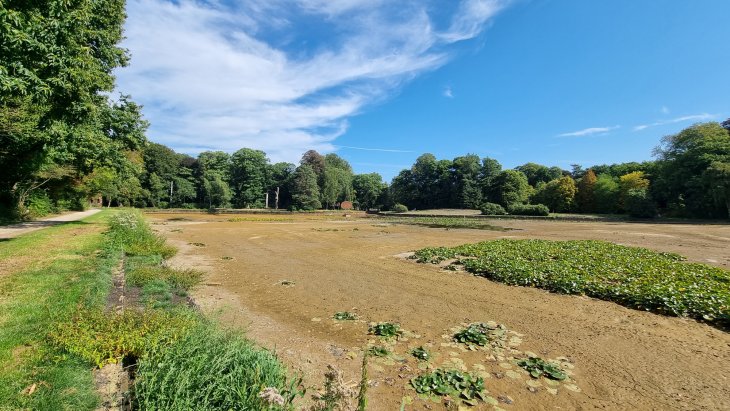 Droge vijver in park De Mik (5)