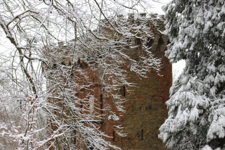 Sneeuw in Maria-ter-Heide (park De Mik).