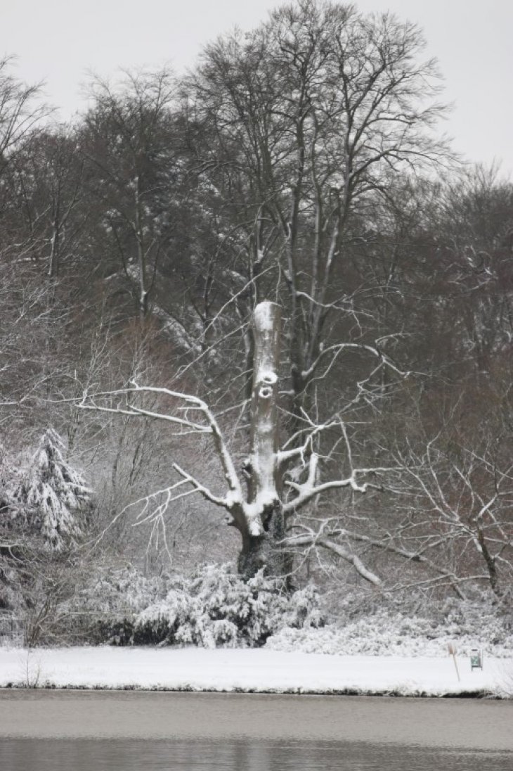 Sneeuw in Maria-ter-Heide.