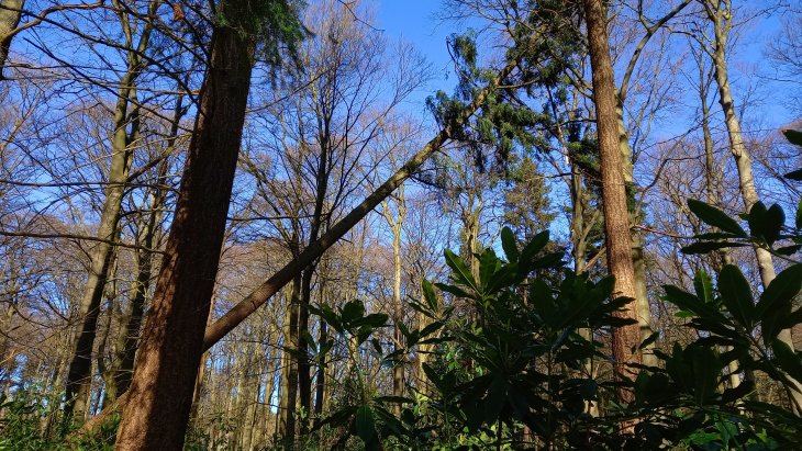 Stormschade Eunice (Park De Mik)