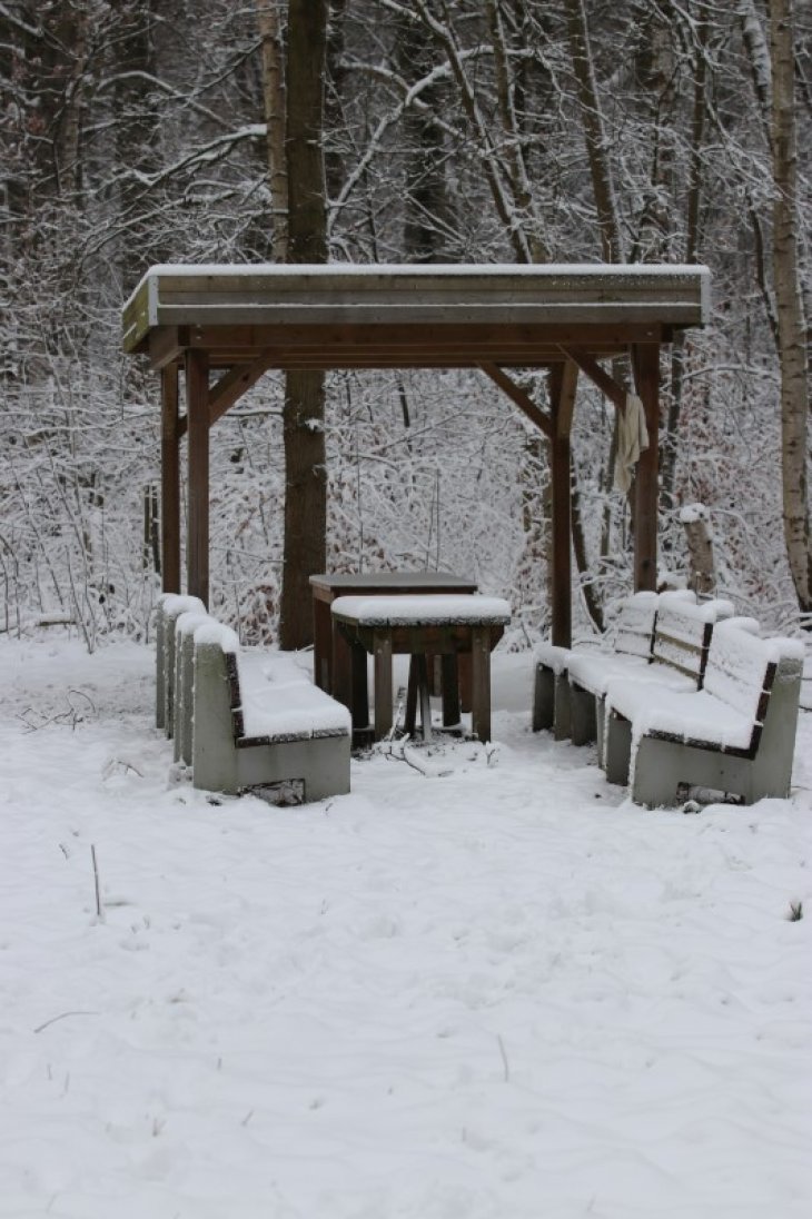 Sneeuw in Maria-ter-Heide.