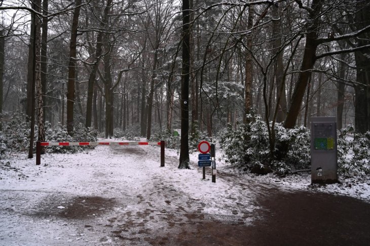 Sneeuw in Maria-ter-Heide