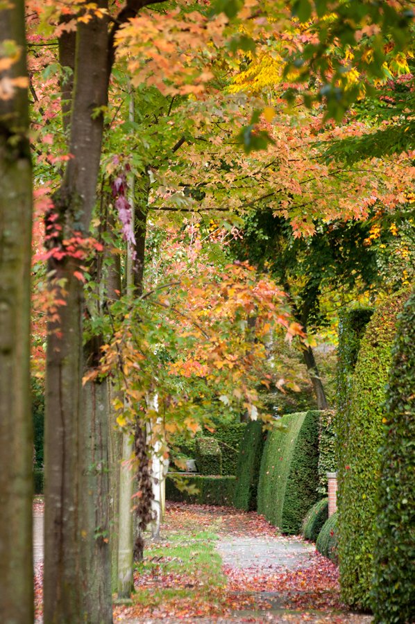 Herfst in Maria-ter-Heide 2019 (4)