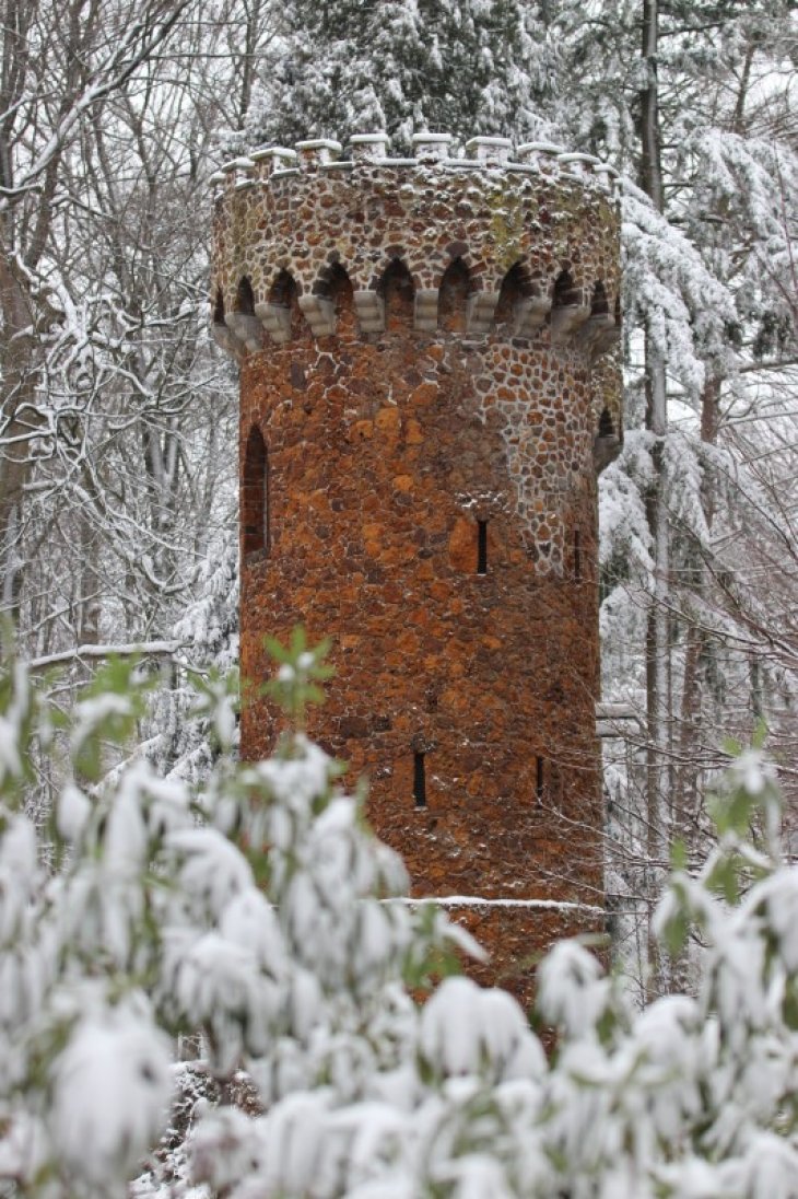 Sneeuw in Maria-ter-Heide (park De Mik).