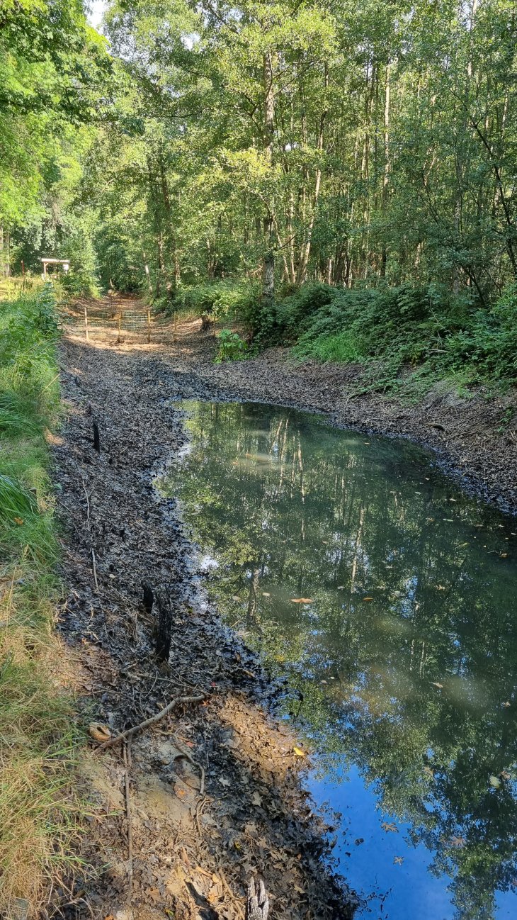 Visgracht in de Kerkedreef (11)