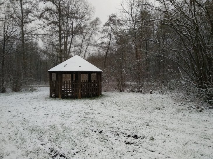 Sneeuw in Maria-ter-Heide