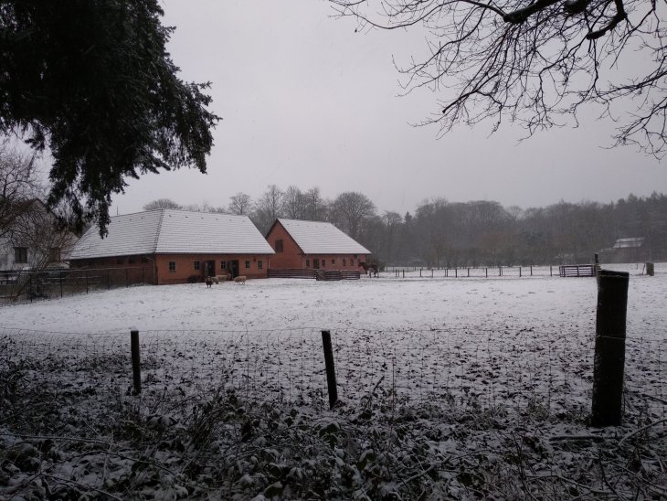 Sneeuw in Maria-ter-Heide