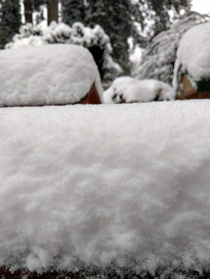 Dik laag sneeuw in Maria-ter-Heide