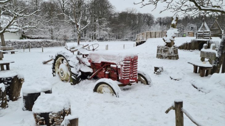 Sneeuw in Maria-ter-Heide (Kinderboerderij Mikerf).