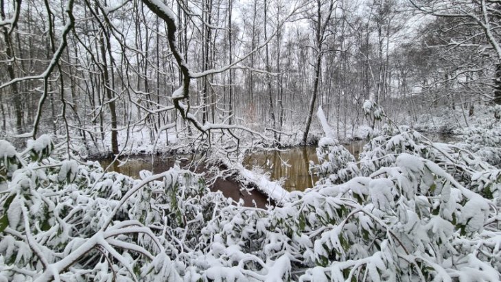 Sneeuw in Maria-ter-Heide.