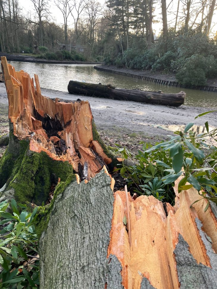 Stormschade Eunice (Park De Mik)