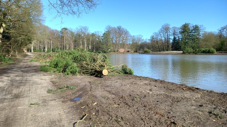 Stormschade Eunice (Park De Mik)