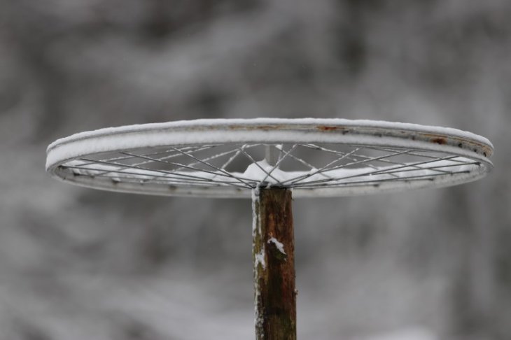 Sneeuw in Maria-ter-Heide (Kinderboerderij Mikerf)