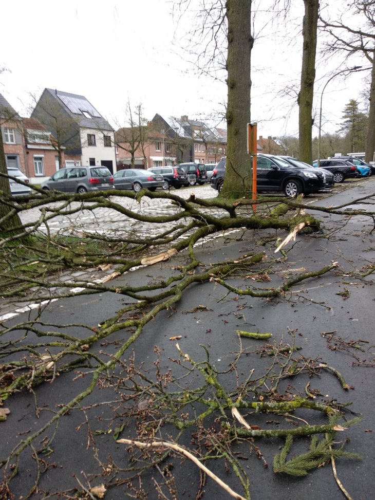 Stormschade Eunice (Bossaersstraat)