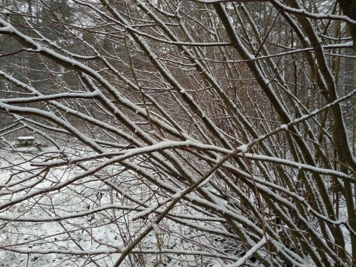 Sneeuw in Maria-ter-Heide