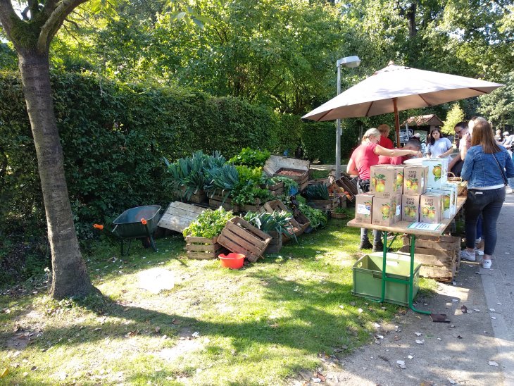 Oogstfeest Kinderboerderij 2019 11