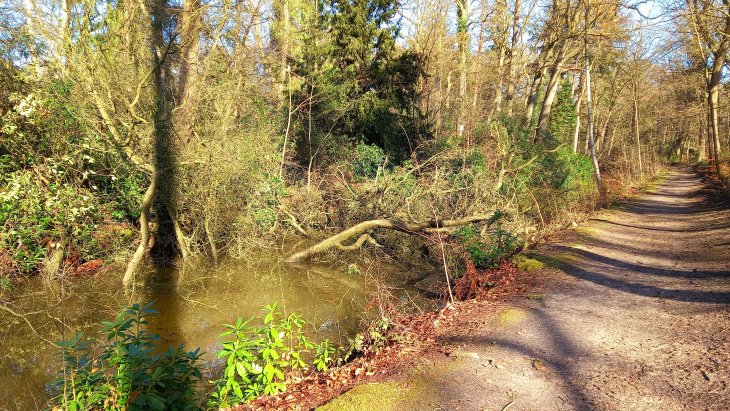 Stormschade Eunice (Park De Mik - Hofgracht)