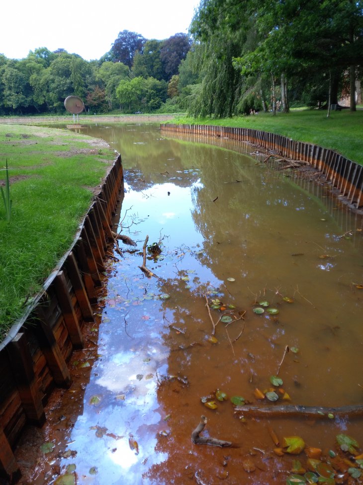 [2022-07-08] Park De Mik - Beek laagwater