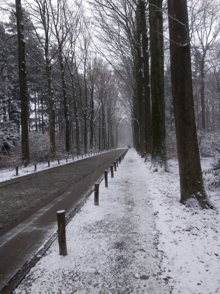 Sneeuw in Maria-ter-Heide