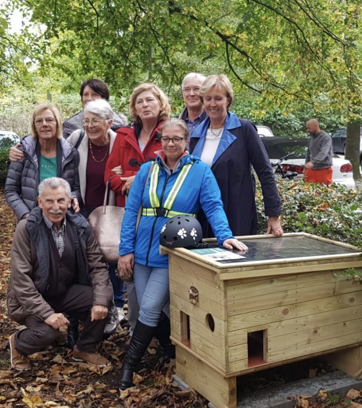 Poezenschuilhokken Brasschaat