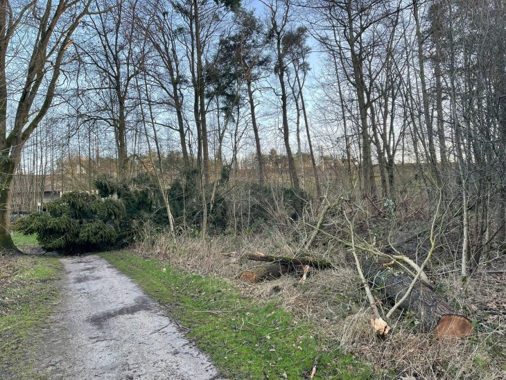 Stormschade Eunice (E10-plas)