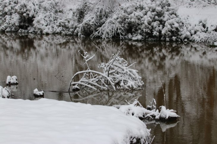 Sneeuw in Maria-ter-Heide.