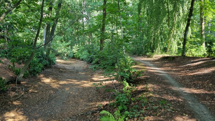 Hofgracht in de Miksebaan (2)