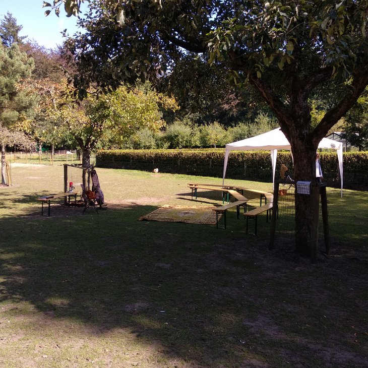 Oogstfeest Kinderboerderij 2019 2