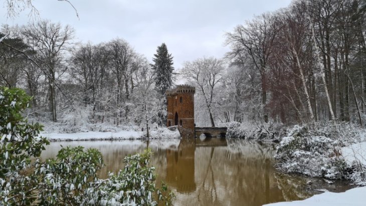 Sneeuw in Maria-ter-Heide (park De Mik).