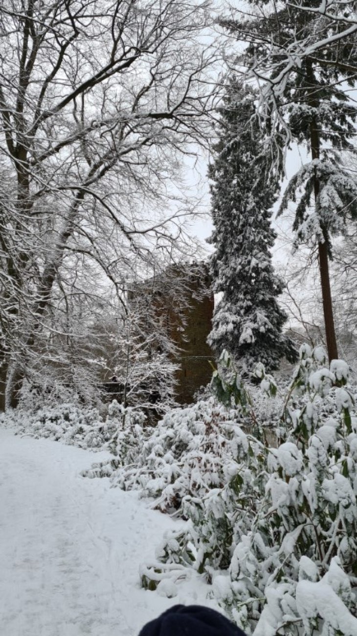 Sneeuw in Maria-ter-Heide (park De Mik).