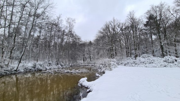 Sneeuw in Maria-ter-Heide (Hofgracht De Mik).