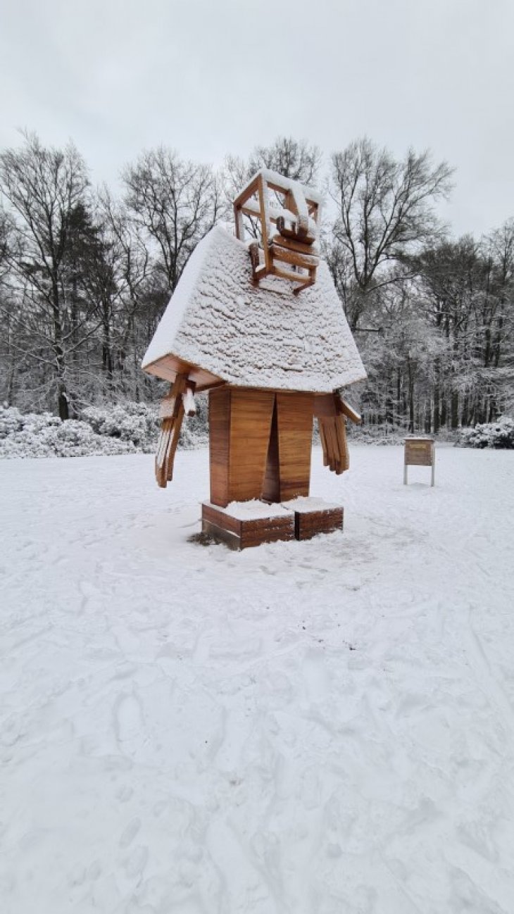 Sneeuw in Maria-ter-Heide (park De Mik).