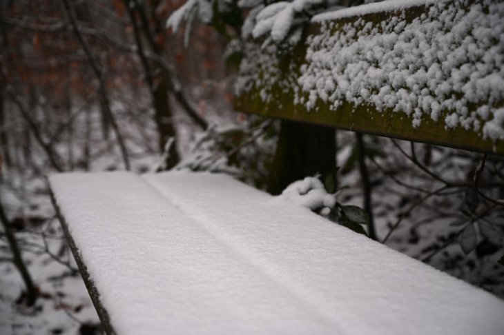 Sneeuw in Maria-ter-Heide