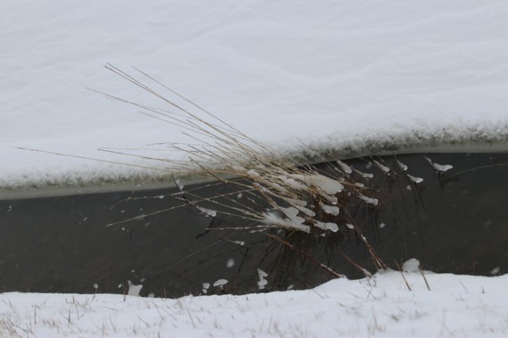 Sneeuw in Maria-ter-Heide.