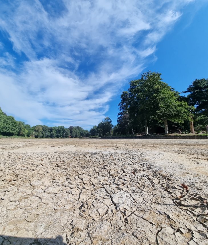 [2022-09-05] Droge vijver in park De Mik.