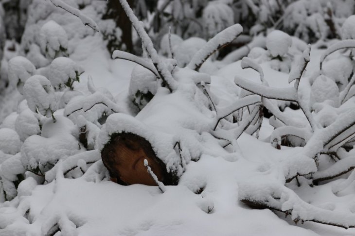 Sneeuw in Maria-ter-Heide.