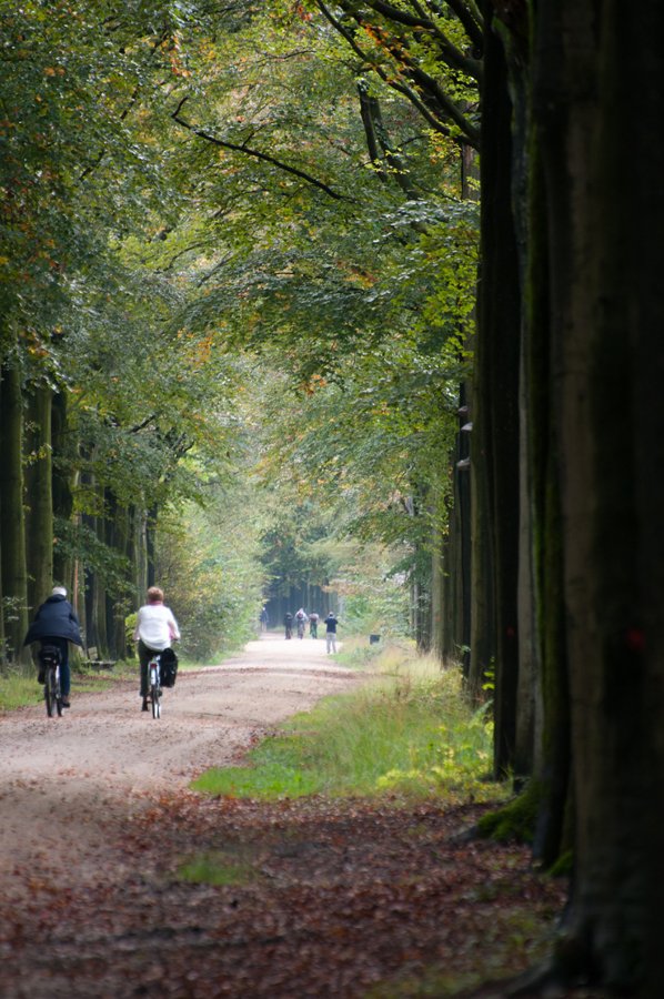 Herfst in Maria-ter-Heide 2019 (6)